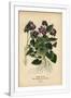 Gramercy White