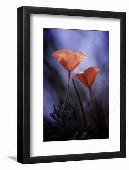 Desire-Fabien BRAVIN-Framed Photographic Print