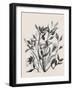 Desired Purpose-Doris Charest-Framed Art Print