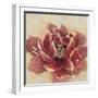 Desirous-Studio M-Framed Art Print