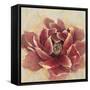 Desirous-Studio M-Framed Stretched Canvas