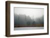 Desolate Beach-Kim Curinga-Framed Photographic Print