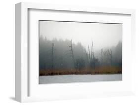 Desolate Beach-Kim Curinga-Framed Photographic Print