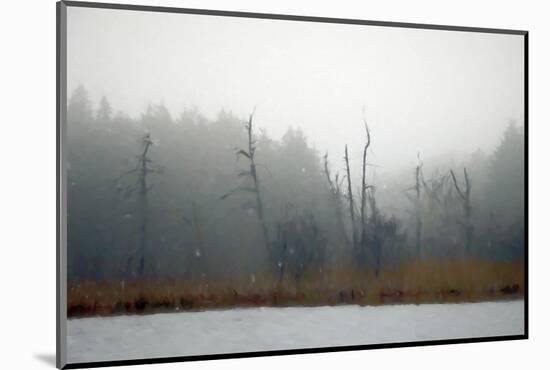 Desolate Beach-Kim Curinga-Mounted Photographic Print