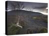 Desolate Black Ash Landscape at the Foot of Hverfjall Volcano, Myvatn, Northern Iceland-Patrick Dieudonne-Stretched Canvas