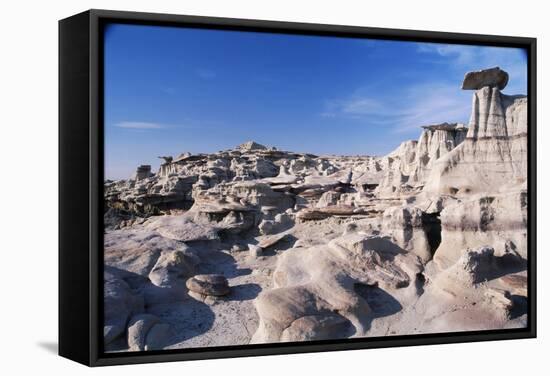 Desolate Canyon of Bisti Wilderness Area-John McAnulty-Framed Stretched Canvas