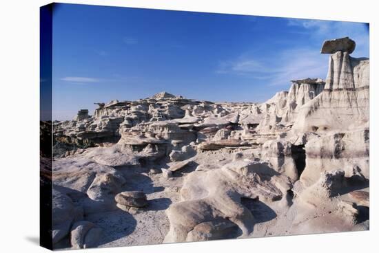 Desolate Canyon of Bisti Wilderness Area-John McAnulty-Stretched Canvas