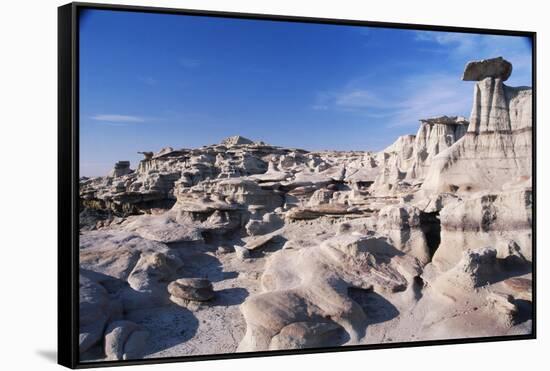 Desolate Canyon of Bisti Wilderness Area-John McAnulty-Framed Stretched Canvas