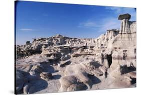 Desolate Canyon of Bisti Wilderness Area-John McAnulty-Stretched Canvas