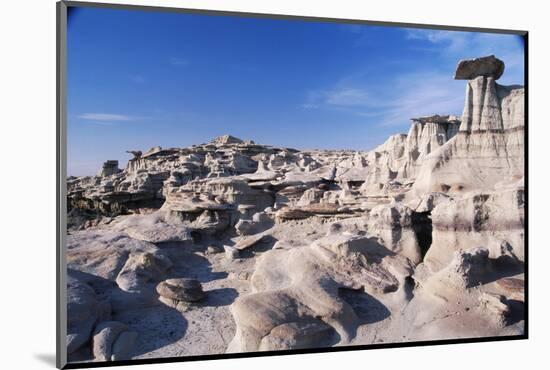 Desolate Canyon of Bisti Wilderness Area-John McAnulty-Mounted Photographic Print