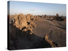 Desolate Landscape of Lac Abbe, Dotted with Limestone Chimneys, Djibouti, Africa-Mcconnell Andrew-Stretched Canvas