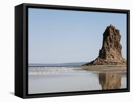 Desolate Landscape of Lac Abbe, Dotted with Limestone Chimneys, Djibouti, Africa-Mcconnell Andrew-Framed Stretched Canvas