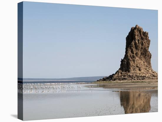 Desolate Landscape of Lac Abbe, Dotted with Limestone Chimneys, Djibouti, Africa-Mcconnell Andrew-Stretched Canvas