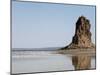 Desolate Landscape of Lac Abbe, Dotted with Limestone Chimneys, Djibouti, Africa-Mcconnell Andrew-Mounted Premium Photographic Print