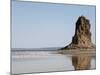 Desolate Landscape of Lac Abbe, Dotted with Limestone Chimneys, Djibouti, Africa-Mcconnell Andrew-Mounted Photographic Print