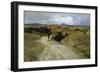 Desolate Roman Countryside-Enrico Della Leonessa-Framed Giclee Print