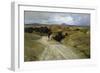 Desolate Roman Countryside-Enrico Della Leonessa-Framed Giclee Print