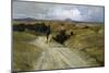 Desolate Roman Countryside-Enrico Della Leonessa-Mounted Giclee Print