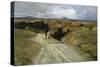 Desolate Roman Countryside-Enrico Della Leonessa-Stretched Canvas