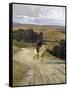 Desolate Roman Countryside-Enrico Coleman-Framed Stretched Canvas