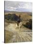 Desolate Roman Countryside-Enrico Coleman-Stretched Canvas