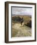 Desolate Roman Countryside-Enrico Coleman-Framed Giclee Print