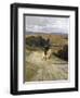 Desolate Roman Countryside-Enrico Coleman-Framed Giclee Print