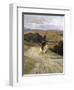 Desolate Roman Countryside-Enrico Coleman-Framed Giclee Print