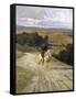 Desolate Roman Countryside-Enrico Coleman-Framed Stretched Canvas