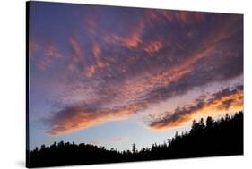 Desolation Sound, BC, Canada-Paul Souders-Stretched Canvas