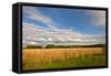 Desoto NWR, Nebraska, USA-Michael Scheufler-Framed Stretched Canvas