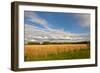 Desoto NWR, Nebraska, USA-Michael Scheufler-Framed Photographic Print