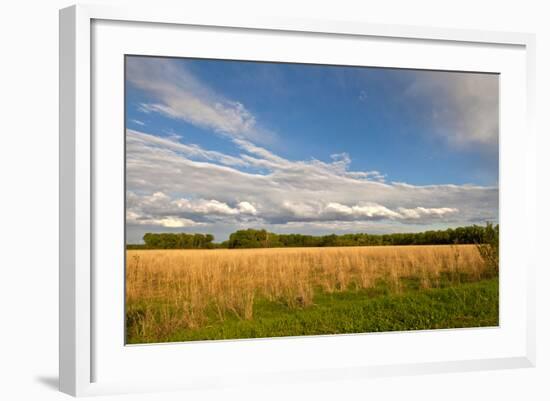 Desoto NWR, Nebraska, USA-Michael Scheufler-Framed Photographic Print