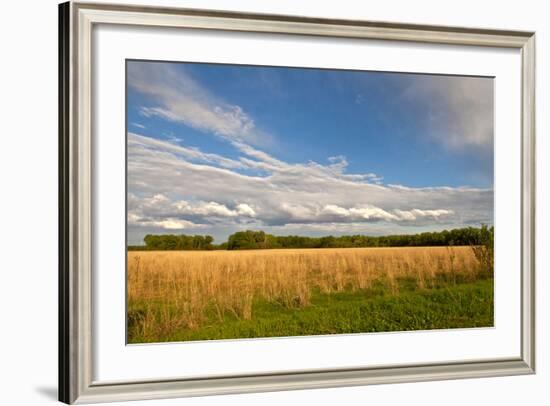 Desoto NWR, Nebraska, USA-Michael Scheufler-Framed Photographic Print