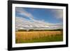 Desoto NWR, Nebraska, USA-Michael Scheufler-Framed Photographic Print