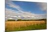 Desoto NWR, Nebraska, USA-Michael Scheufler-Mounted Photographic Print