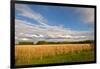 Desoto NWR, Nebraska, USA-Michael Scheufler-Framed Photographic Print