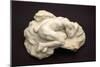 Despair, 1890 (Marble)-Auguste Rodin-Mounted Giclee Print