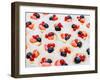 Dessert for Holiday. Fruit Tart with Currant, Strawberries and Cream, Meringue, Cupcakes, Muffins,-Valentin Jukov-Framed Photographic Print