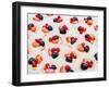 Dessert for Holiday. Fruit Tart with Currant, Strawberries and Cream, Meringue, Cupcakes, Muffins,-Valentin Jukov-Framed Photographic Print