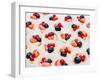 Dessert for Holiday. Fruit Tart with Currant, Strawberries and Cream, Meringue, Cupcakes, Muffins,-Valentin Jukov-Framed Photographic Print