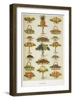 Dessert. Various Fruit Dishes-Isabella Beeton-Framed Giclee Print