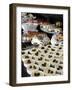 Desserts on Display in One of Khartoum's 5-Star Hotels, Khartoum, Sudan, Africa-Mcconnell Andrew-Framed Photographic Print