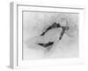 Dessin-Auguste Rodin-Framed Giclee Print