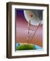 Destination Moon-Cindy Thornton-Framed Art Print