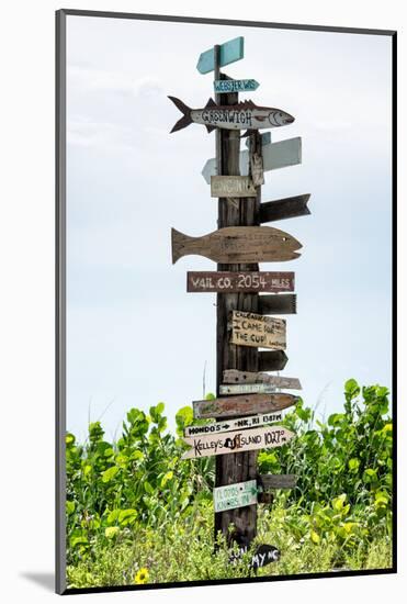 Destination Signs - Florida-Philippe Hugonnard-Mounted Photographic Print