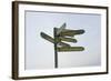 Destination Signs, Ingjaldsholl, Snaefellsnes, West Iceland-Julia Wellner-Framed Photographic Print