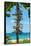 Destination Signs - Key West - Florida-Philippe Hugonnard-Framed Stretched Canvas