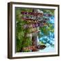 Destination Signs - Key West - Florida-Philippe Hugonnard-Framed Photographic Print