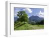 Destination Three Lime-Trees Above Saint Margrethen, Brannenburg, View at Großer Riesenkopf and Reh-Rolf Roeckl-Framed Photographic Print